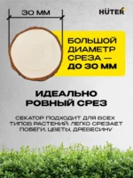 电动剪枝机 / Электрический секатор - 图片 3