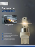 黄色转向灯 WY21W/PY21W - 图片 2