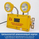 防爆应急指示灯 - 图片 5