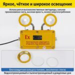 防爆应急指示灯 - 图片 6